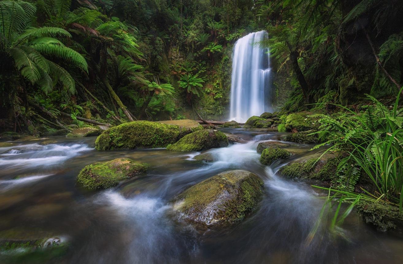 Waterfall flowing through lush green rainforest